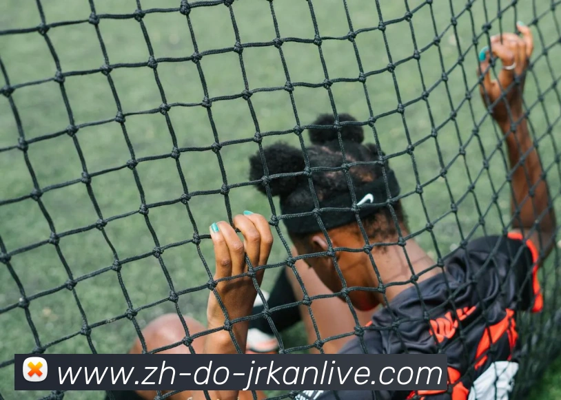 多媒体互动体验